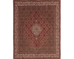 Bidjar Zandjan orientalisk matta 246 x 305 cm