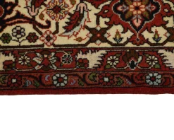 Bidjar Zandjan orientalisk matta 248 x 350 cm