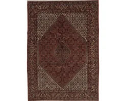 Bidjar Zandjan orientalisk matta 204 x 295 cm