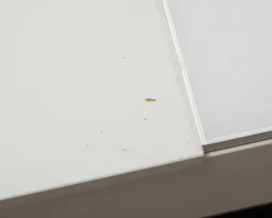 BoConcept Chiva soffbord vit