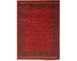 Pakistan handknotted orientalisk matta 170 x 239 cm