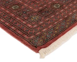 Pakistan handknotted orientalisk matta 168 x 236 cm
