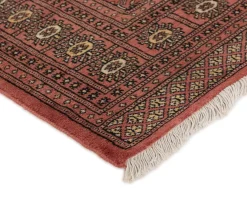 Pakistan handknotted orientalisk matta 171 x 227 cm