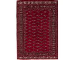 Pakistan handknotted orientalisk matta 170 x 245 cm