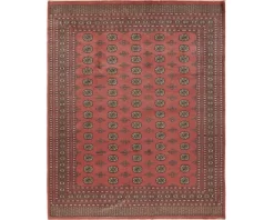 Pakistan handknotted orientalisk matta 250 x 307 cm